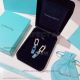 AAA Replica Tiffany And Co Blue Book Earrings - 925 Silver (6)_th.jpg